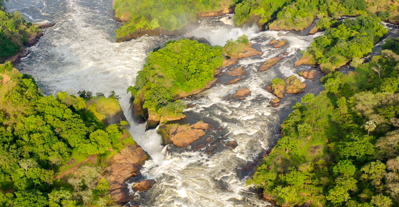 1 DAY MURCHISON FALLS NATIONAL PARK SAFARI