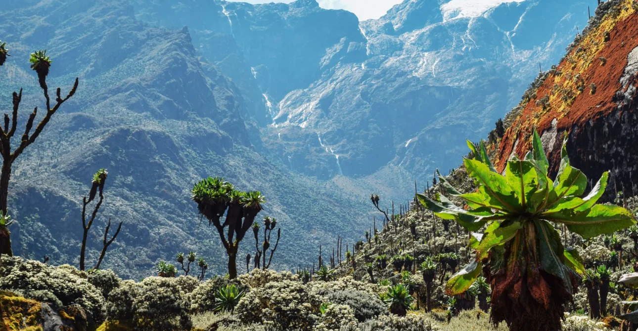 TREKKER’S GUIDE TO RWENZORI MOUNTAINS NATIONAL PARK