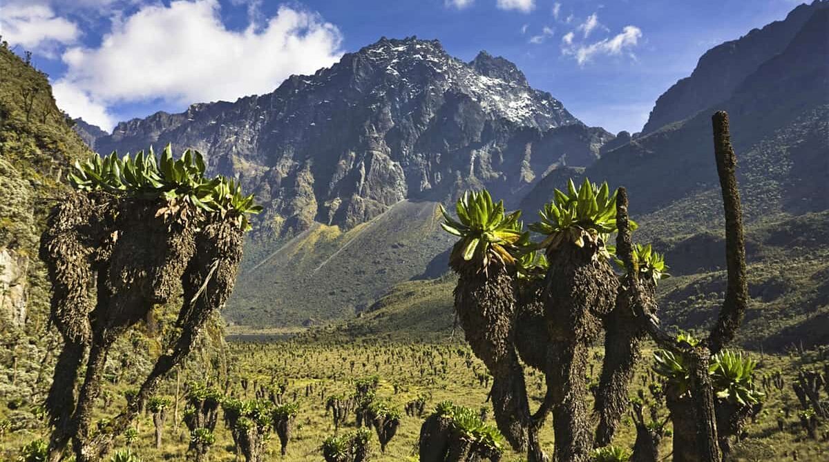 Best Accommodations in Rwenzori Mountains National Park – Where to Stay in 2025