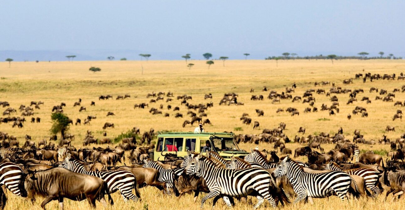 4 Days Kidepo National Park Via Aruu Falls and Gulu Town