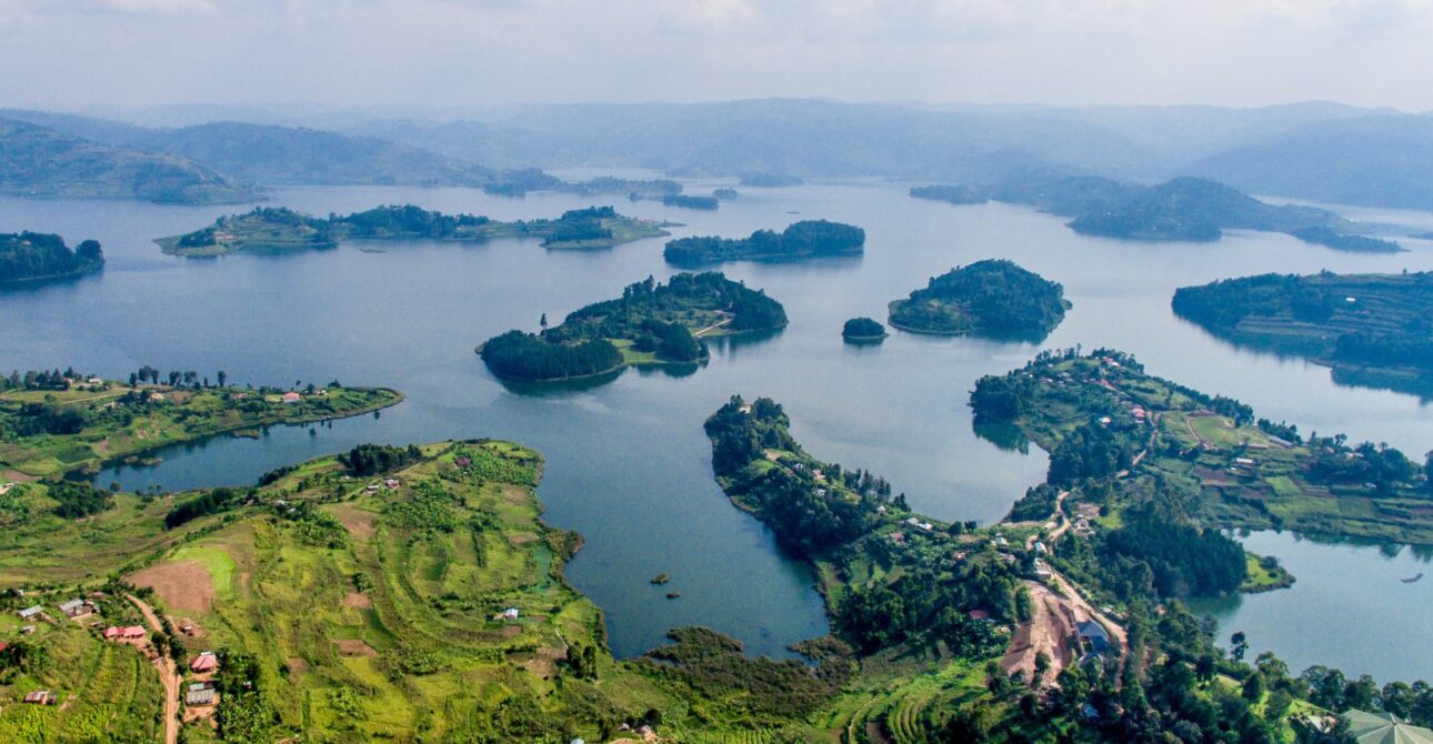 3 DAY MID-RANGE GORILLA TREKKING BWINDI FOREST & LAKE BUNYONYI