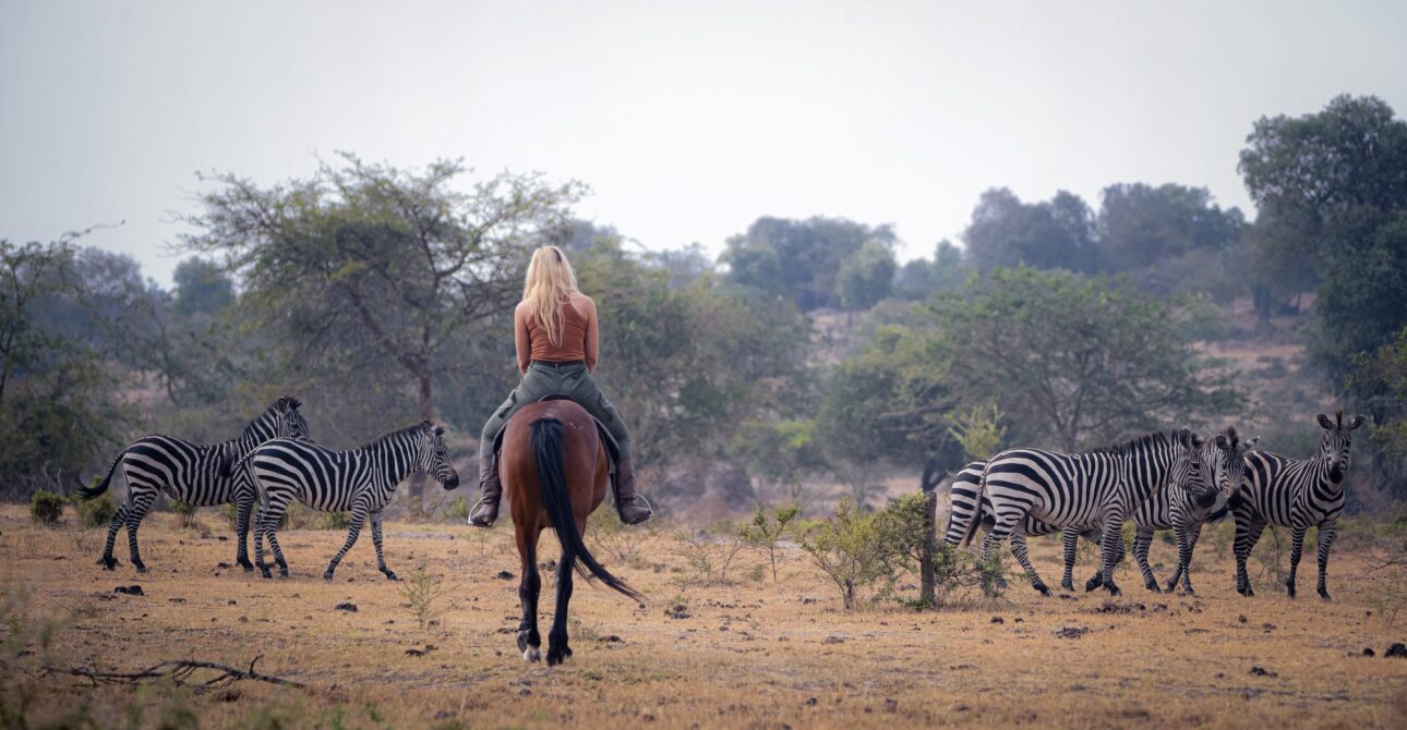 1 DAY SAFARI ADVENTURE IN LAKE MBURO NATIONAL PARK