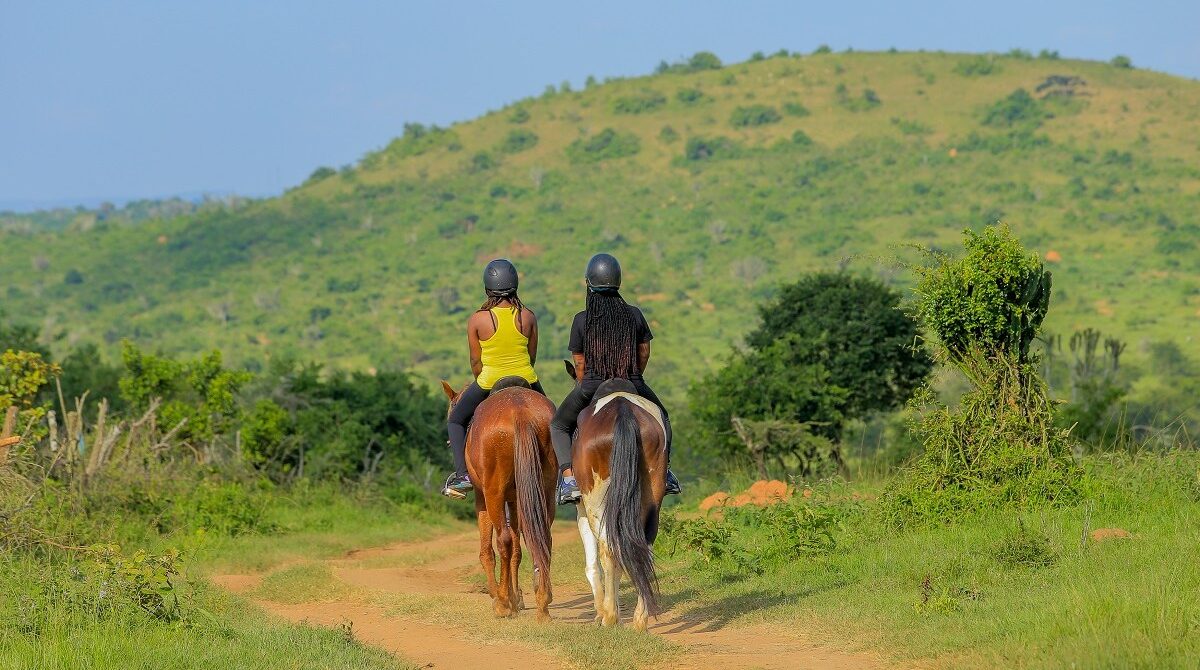 Why Lake Mburo National Park Should Be on Your Uganda Safari Itinerary?