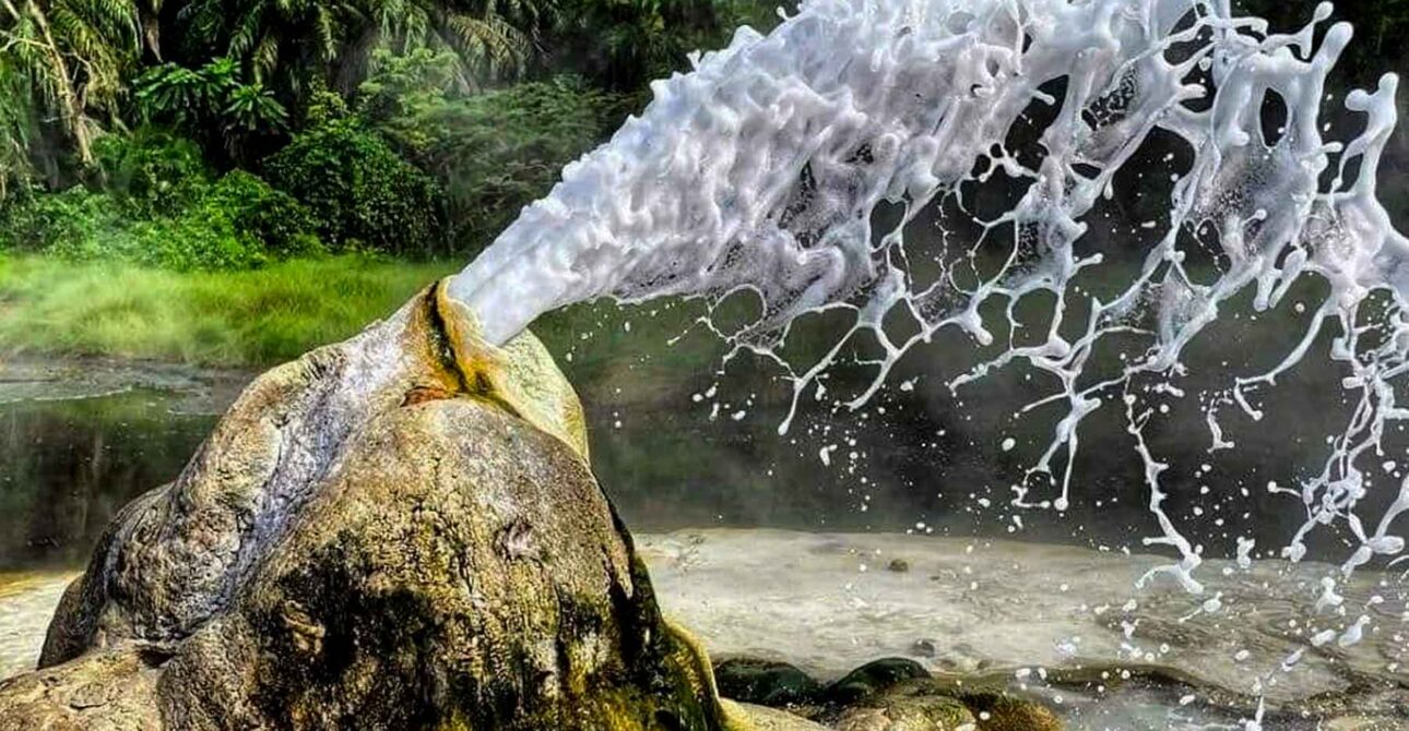 2 DAYS SEMULIKI NATIONAL PARK: HOT SPRINGS, SHOEBILL&WILDLIFE ADVENTURE