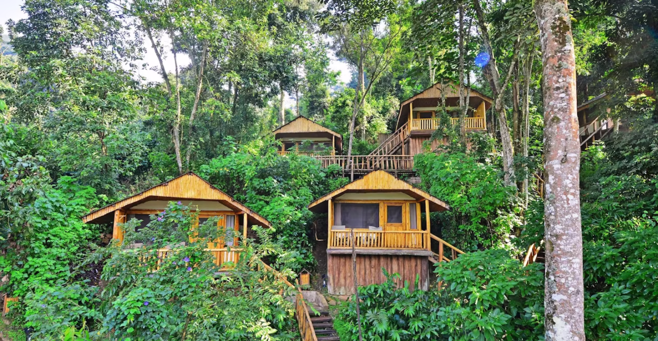 10 VALUE LUXURY BWINDI SAFARI LODGES AND CAMPS.